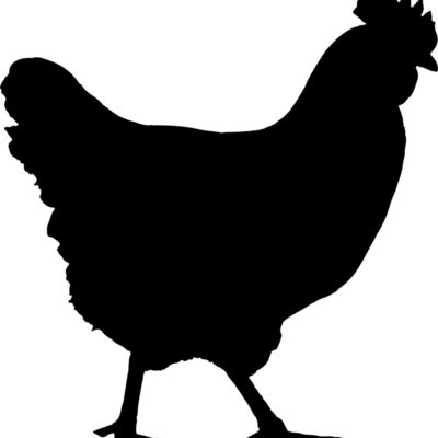 Chicken   Clipart 1 Thumbnail